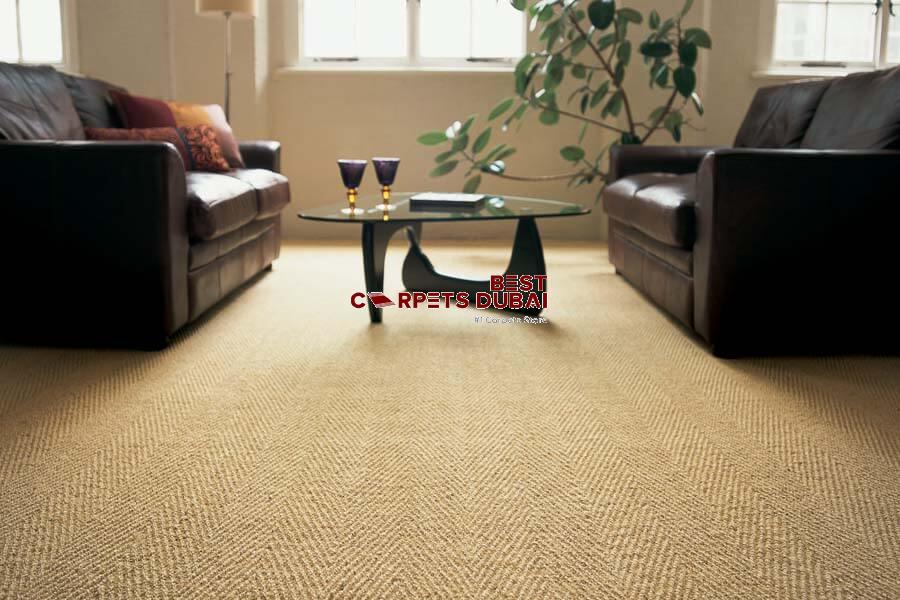 Sisal Rugs